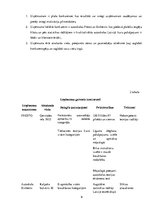 Prakses atskaite 'Uzņēmums "Credo Autoprieks"', 9.