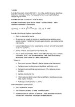 Prezentācija 'Etanola ražošana', 13.