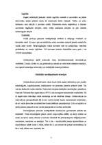 Referāts 'Globalizācijas ietekme uz sociālo stratifikāciju', 7.