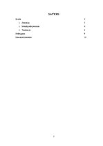 Referāts 'Bezvēsts prombūtne - tendences un noteicošie faktori Latvijā', 2.