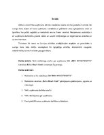 Referāts 'Uzņēmuma SIA "BBH Investments" 7P analīze', 2.