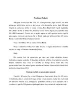 Referāts 'Uzņēmuma SIA "BBH Investments" 7P analīze', 3.