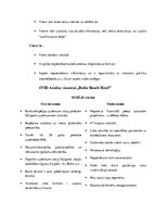 Referāts 'Uzņēmuma SIA "BBH Investments" 7P analīze', 11.