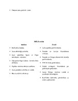 Referāts 'Uzņēmuma SIA "BBH Investments" 7P analīze', 12.