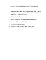 Referāts 'Uzņēmuma SIA "BBH Investments" 7P analīze', 13.