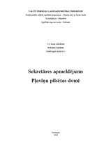 Prakses atskaite 'Sekretāres apmeklējums Pļaviņu pilsētas domē', 1.