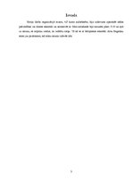 Prakses atskaite 'Sekretāres apmeklējums Pļaviņu pilsētas domē', 3.