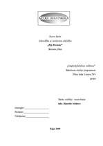 Biznesa plāns 'Biznesa plāns solāriju studijai SIA "Fiji Forever"', 1.