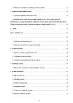 Biznesa plāns 'Biznesa plāns solāriju studijai SIA "Fiji Forever"', 3.