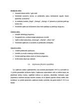 Biznesa plāns 'Biznesa plāns solāriju studijai SIA "Fiji Forever"', 7.