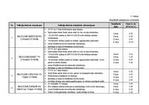 Biznesa plāns 'Biznesa plāns solāriju studijai SIA "Fiji Forever"', 9.