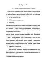 Biznesa plāns 'Biznesa plāns solāriju studijai SIA "Fiji Forever"', 13.