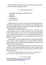 Biznesa plāns 'Biznesa plāns solāriju studijai SIA "Fiji Forever"', 15.