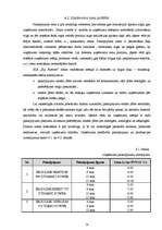 Biznesa plāns 'Biznesa plāns solāriju studijai SIA "Fiji Forever"', 18.