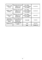 Biznesa plāns 'Biznesa plāns solāriju studijai SIA "Fiji Forever"', 22.