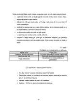 Biznesa plāns 'Biznesa plāns solāriju studijai SIA "Fiji Forever"', 24.