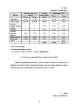 Biznesa plāns 'Biznesa plāns solāriju studijai SIA "Fiji Forever"', 25.