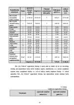 Biznesa plāns 'Biznesa plāns solāriju studijai SIA "Fiji Forever"', 26.