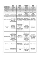 Konspekts 'Vācija, Francija, Itālija, Lielbritānija', 1.