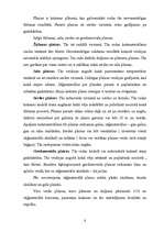 Referāts 'Koka izmantošana', 6.