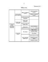 Biznesa plāns 'Uzņēmuma “Saule” atpūtas parka ierīkošanas projekts', 6.