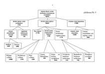 Biznesa plāns 'Uzņēmuma “Saule” atpūtas parka ierīkošanas projekts', 7.