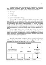 Referāts 'Personāla atlase', 13.