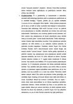 Referāts 'Tiešā tirgvedība tūrismā', 5.