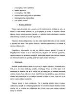 Referāts 'Tiešā tirgvedība tūrismā', 12.