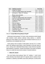 Referāts 'Tiešā tirgvedība tūrismā', 19.