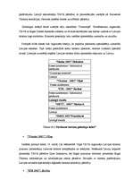 Referāts 'Tiešā tirgvedība tūrismā', 20.