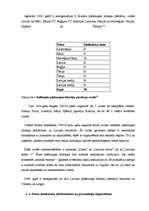 Referāts 'Tiešā tirgvedība tūrismā', 23.