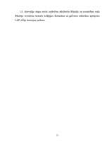 Referāts 'Rallijs un tā situācija Latvijā', 28.