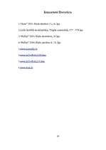 Referāts 'Rallijs un tā situācija Latvijā', 43.