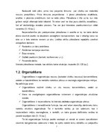 Referāts 'Komunikācija kā menedžmenta funkcija viesnīcā "Kolonna Hotel Rēzekne"', 7.