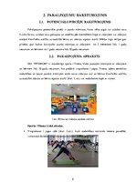 Referāts 'Biznesa plāns', 5.