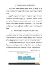 Referāts 'Biznesa plāns', 8.