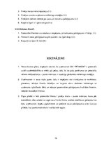 Referāts 'Biznesa plāns', 16.