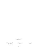 Referāts 'Biznesa plāns', 18.