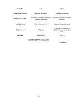 Referāts 'Biznesa plāns', 19.