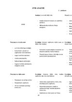 Referāts 'Biznesa plāns', 20.