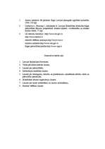 Konspekts 'Sabiedrības ietekme valsts un pašvaldību institūcijās', 8.