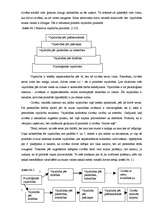 Referāts 'Apmācības un karjeras virzība uzņēmumā "Itella"', 4.