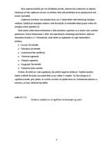 Referāts 'Apmācības un karjeras virzība uzņēmumā "Itella"', 8.