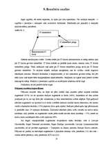 Referāts 'Apmācības un karjeras virzība uzņēmumā "Itella"', 18.