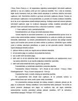 Referāts 'Ārzonu būtība un to izmantošanas mehānisms', 8.