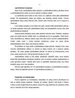 Referāts 'Ārzonu būtība un to izmantošanas mehānisms', 15.