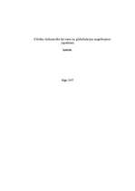 Referāts 'Cilvēku tirdzniecība kā viens no globalizācijas negatīvajiem aspektiem', 1.