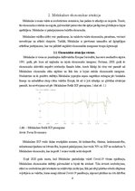 Referāts 'Melnkalnes makroekonomiskās situācijas izvērtējums  un tās realizētas makroekono', 4.