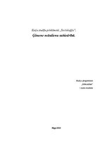 Eseja 'Ģimene mūsdienu sabiedrībā', 1.